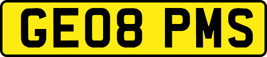 GE08PMS