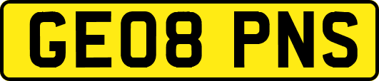 GE08PNS