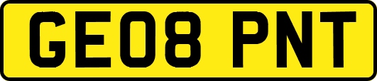 GE08PNT