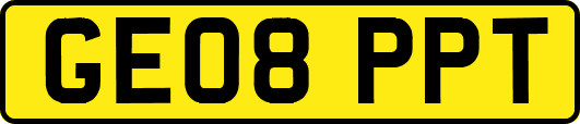GE08PPT