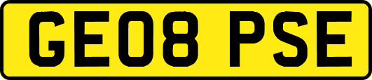 GE08PSE