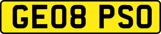 GE08PSO