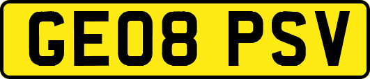 GE08PSV