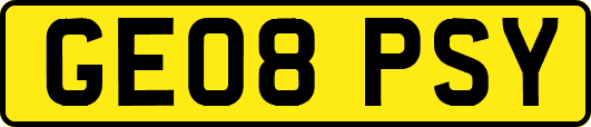 GE08PSY