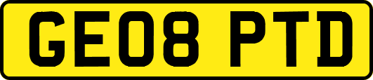 GE08PTD