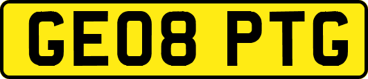 GE08PTG
