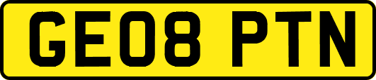 GE08PTN