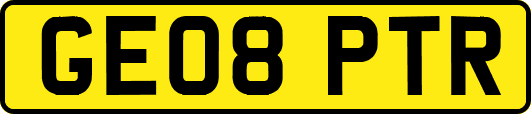 GE08PTR