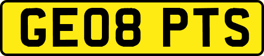 GE08PTS