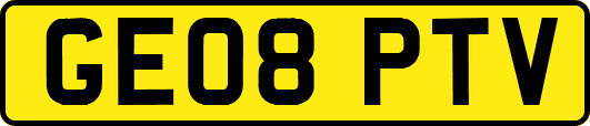 GE08PTV