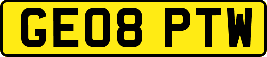 GE08PTW