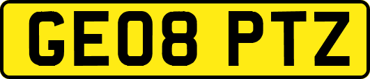 GE08PTZ