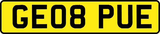 GE08PUE