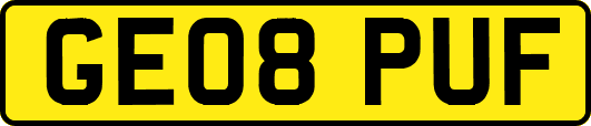 GE08PUF