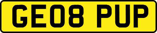 GE08PUP