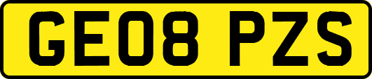 GE08PZS