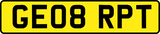 GE08RPT