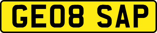 GE08SAP