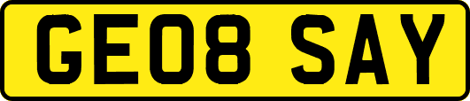 GE08SAY