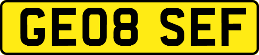 GE08SEF