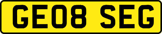 GE08SEG