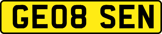 GE08SEN