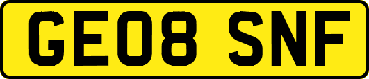 GE08SNF