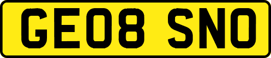 GE08SNO
