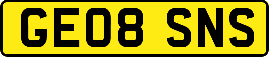 GE08SNS