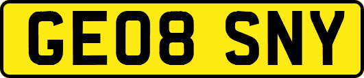 GE08SNY