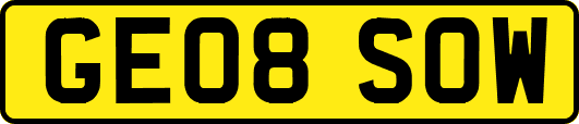 GE08SOW
