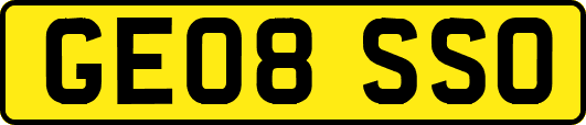 GE08SSO