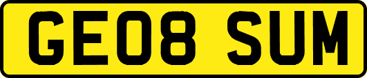 GE08SUM