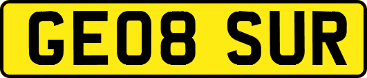 GE08SUR