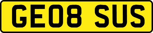 GE08SUS
