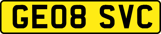 GE08SVC