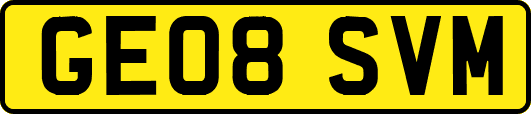 GE08SVM