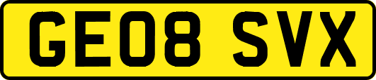 GE08SVX