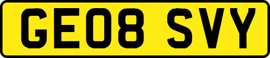 GE08SVY