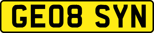 GE08SYN