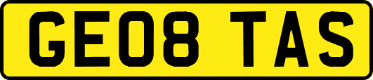 GE08TAS