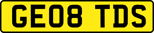 GE08TDS