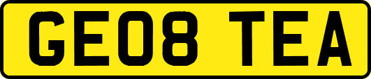 GE08TEA