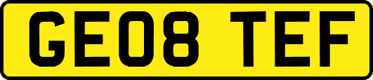 GE08TEF