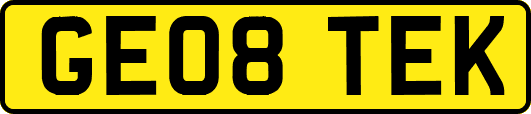 GE08TEK