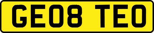 GE08TEO