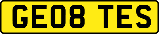 GE08TES