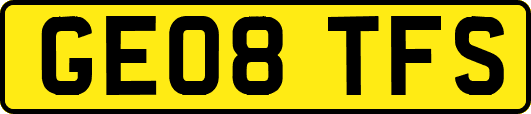 GE08TFS