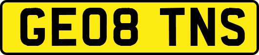 GE08TNS