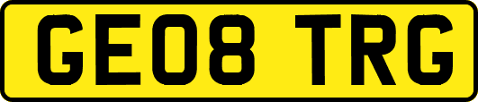 GE08TRG